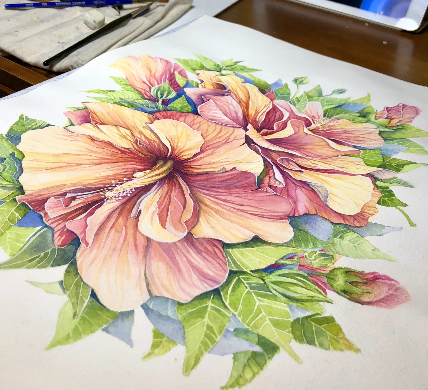 Hibiscus2.jpg
