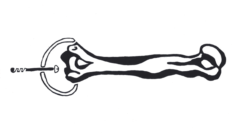 bones_7.png