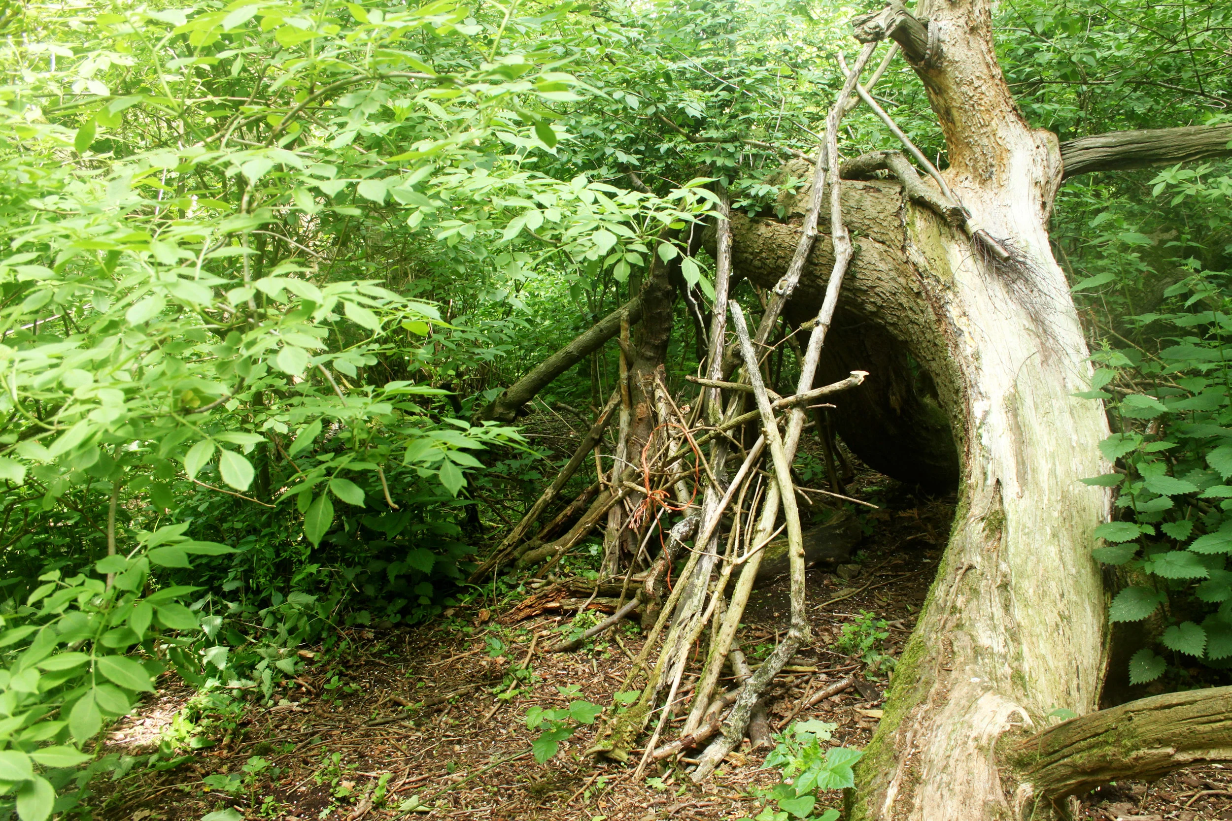 Witches Den.jpg