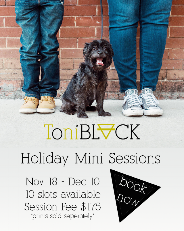 Holiday Mini Family Sessions.png