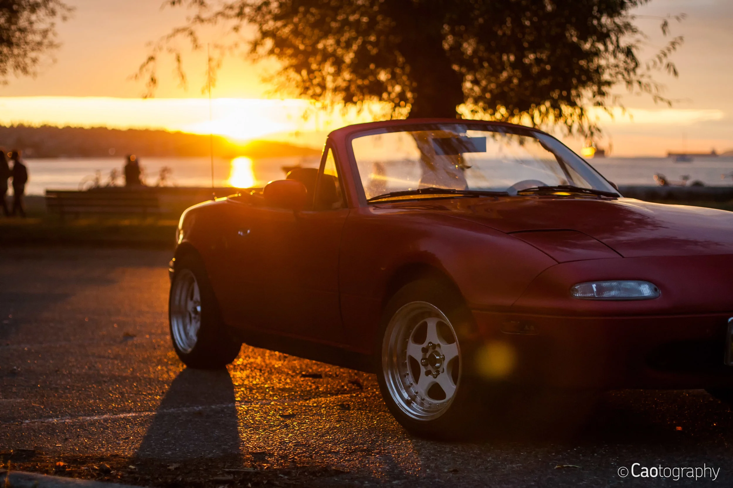 628P1256-Edit.jpg