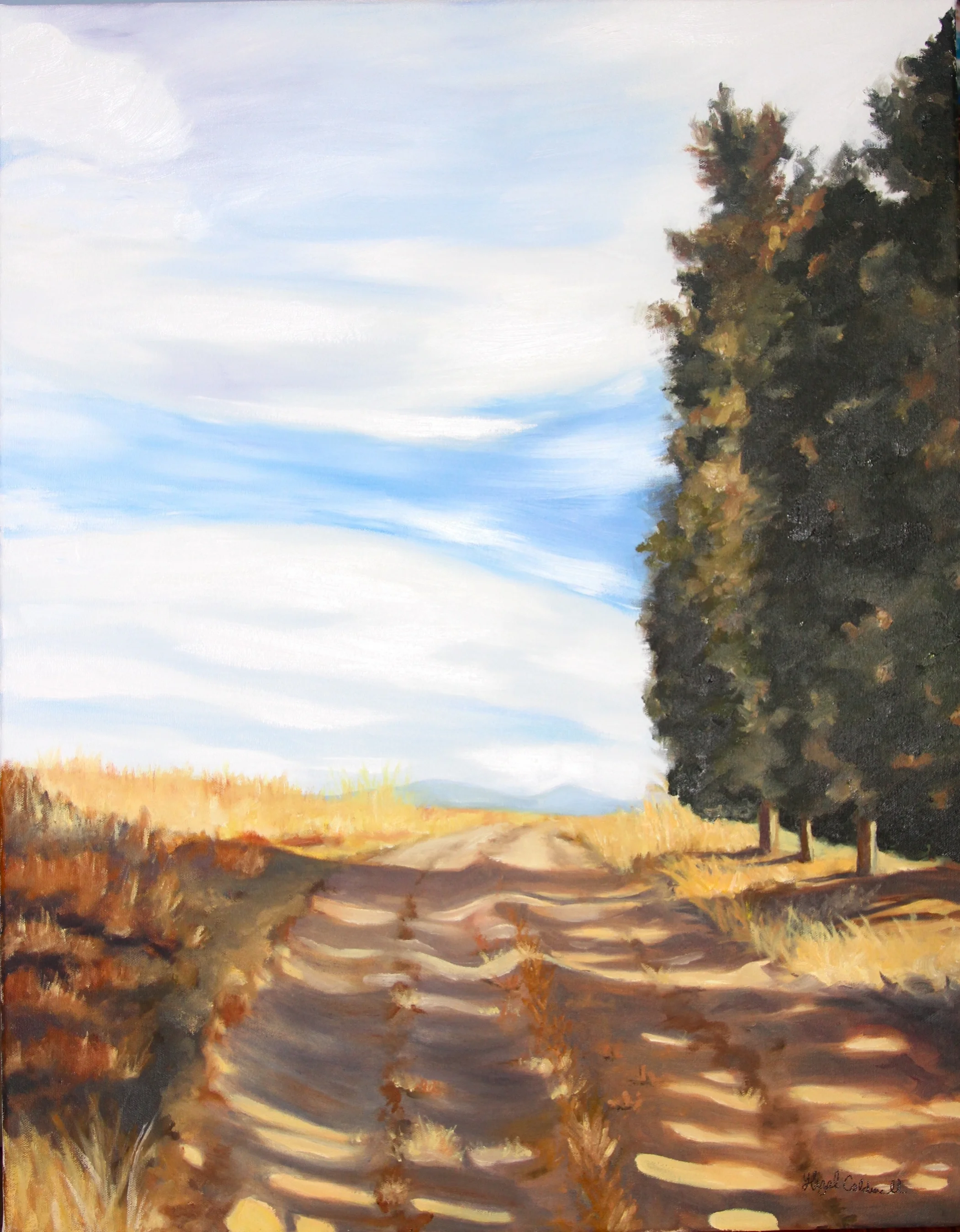 Tuscan Light