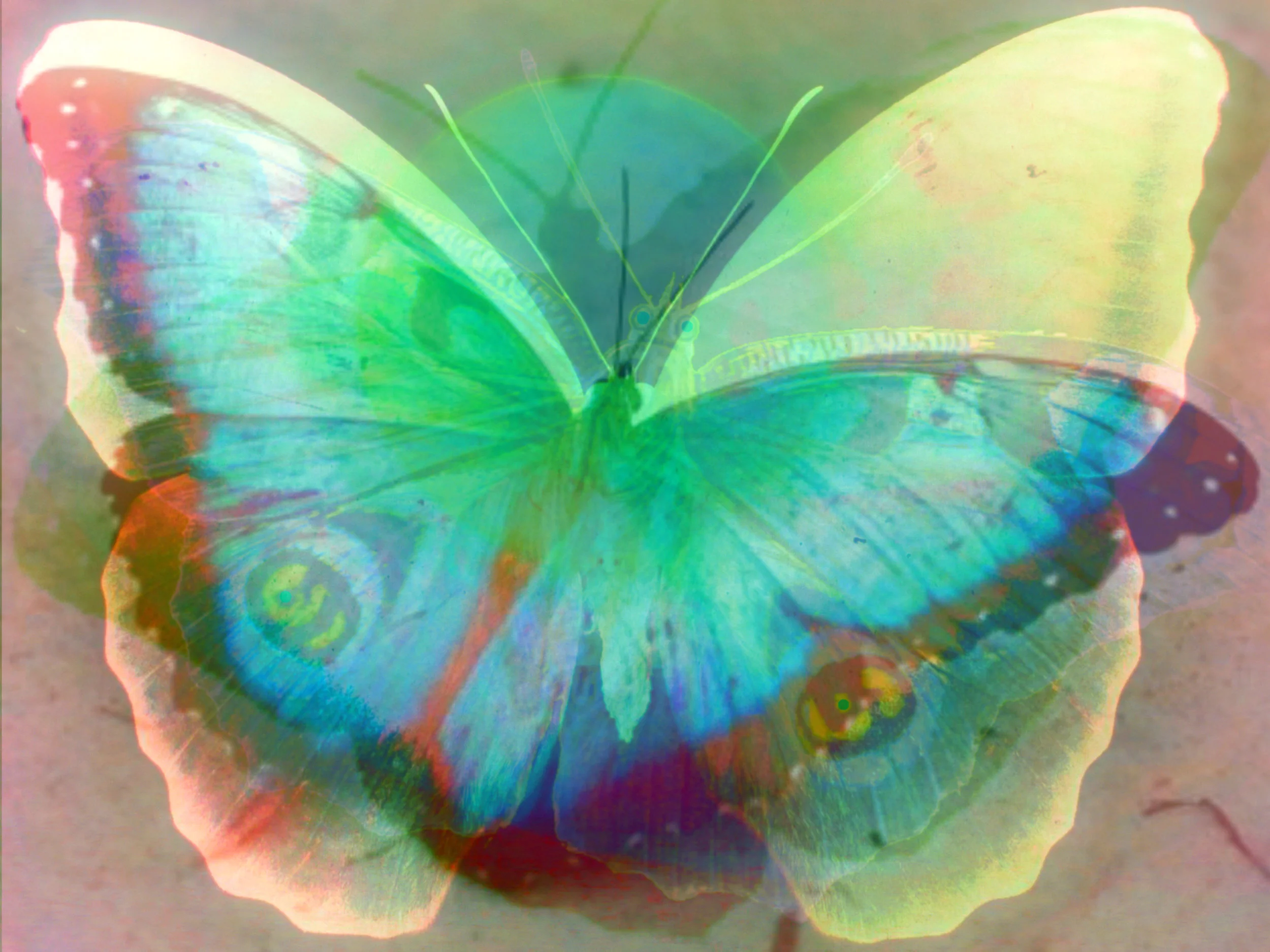 cosmic change edit.jpg