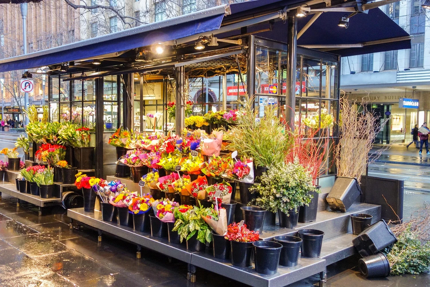 Business Owners Policy (BOP)