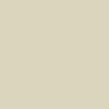 Tan Color.jpg