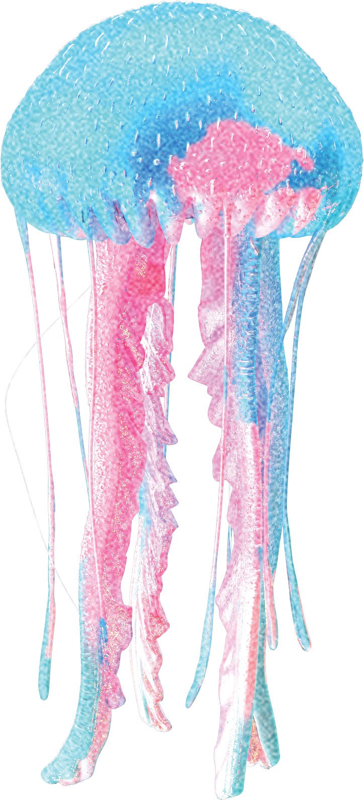 Jellyfish3.jpg
