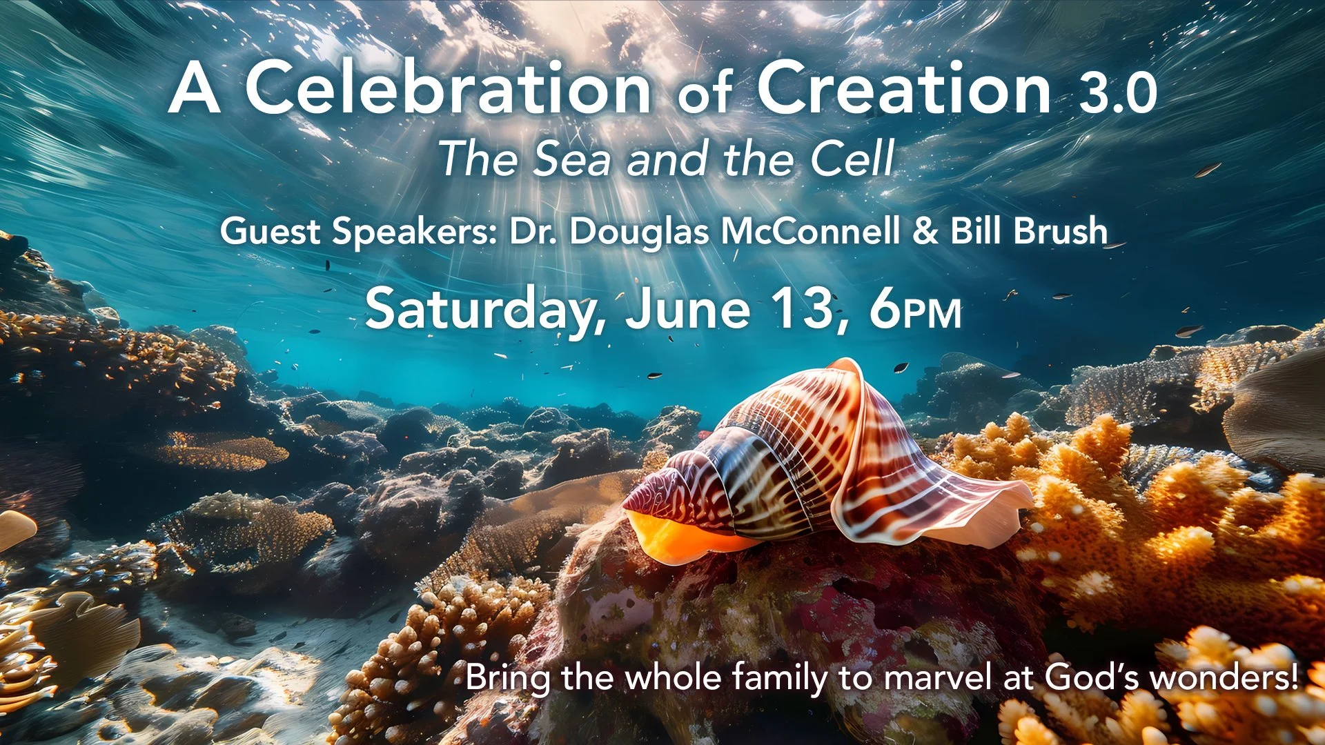 Underwater coral reef scene — A Celebration of Creation 3.0