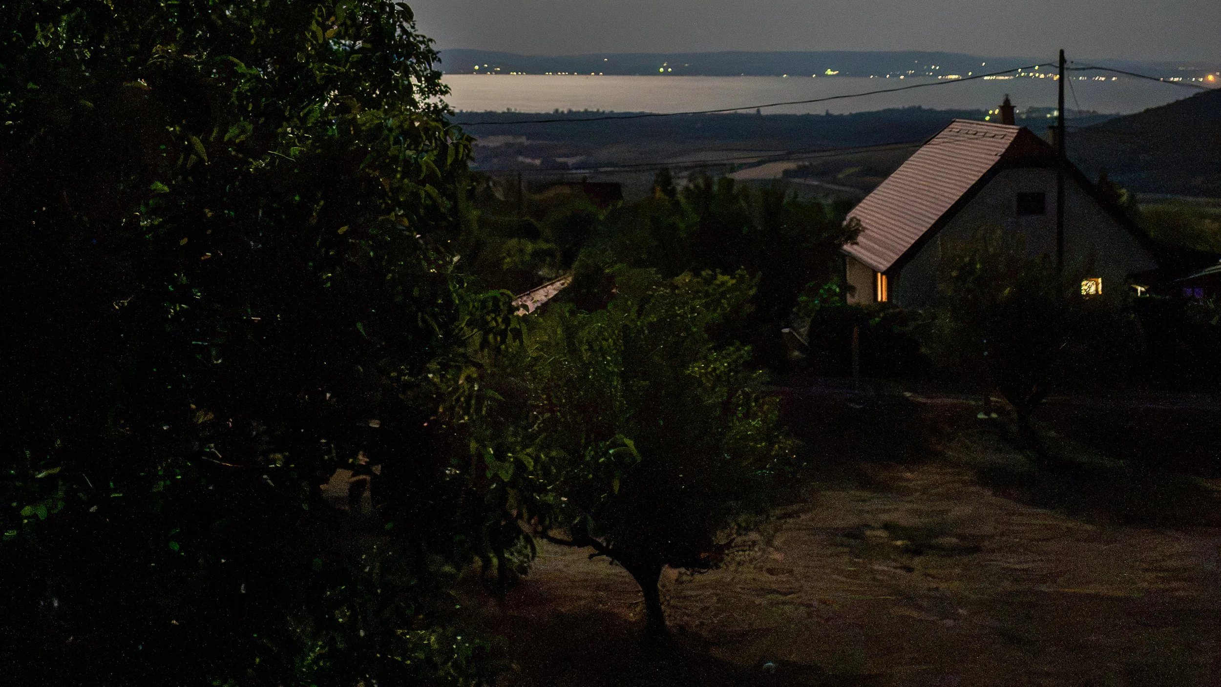 DSC07964-2.jpg