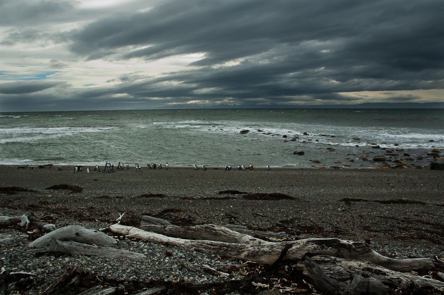 Punta Arenas, Chile