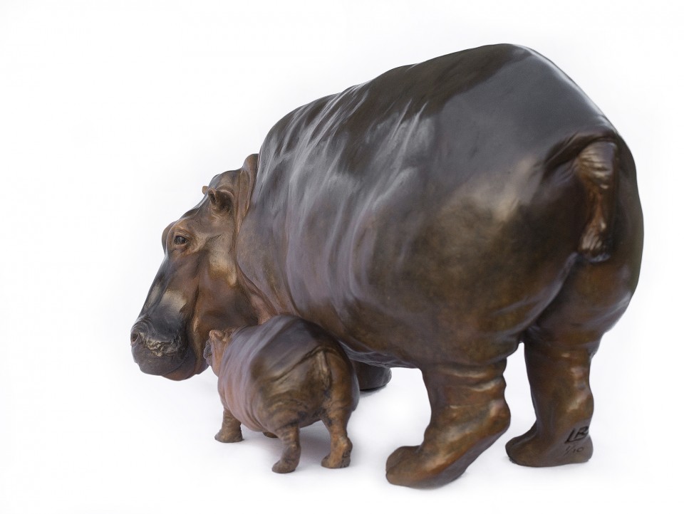 Hippo3-960x722.jpg