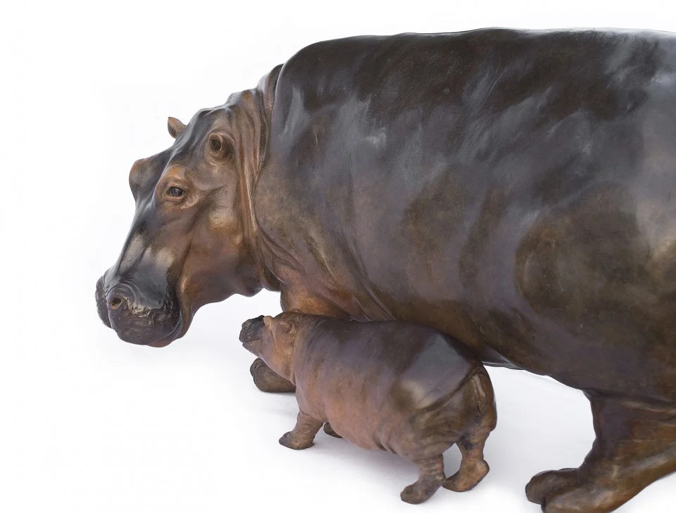 Hippo41-960x728.jpg