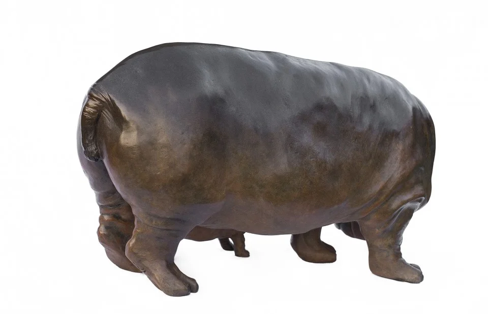 Hippo51-960x618.jpg