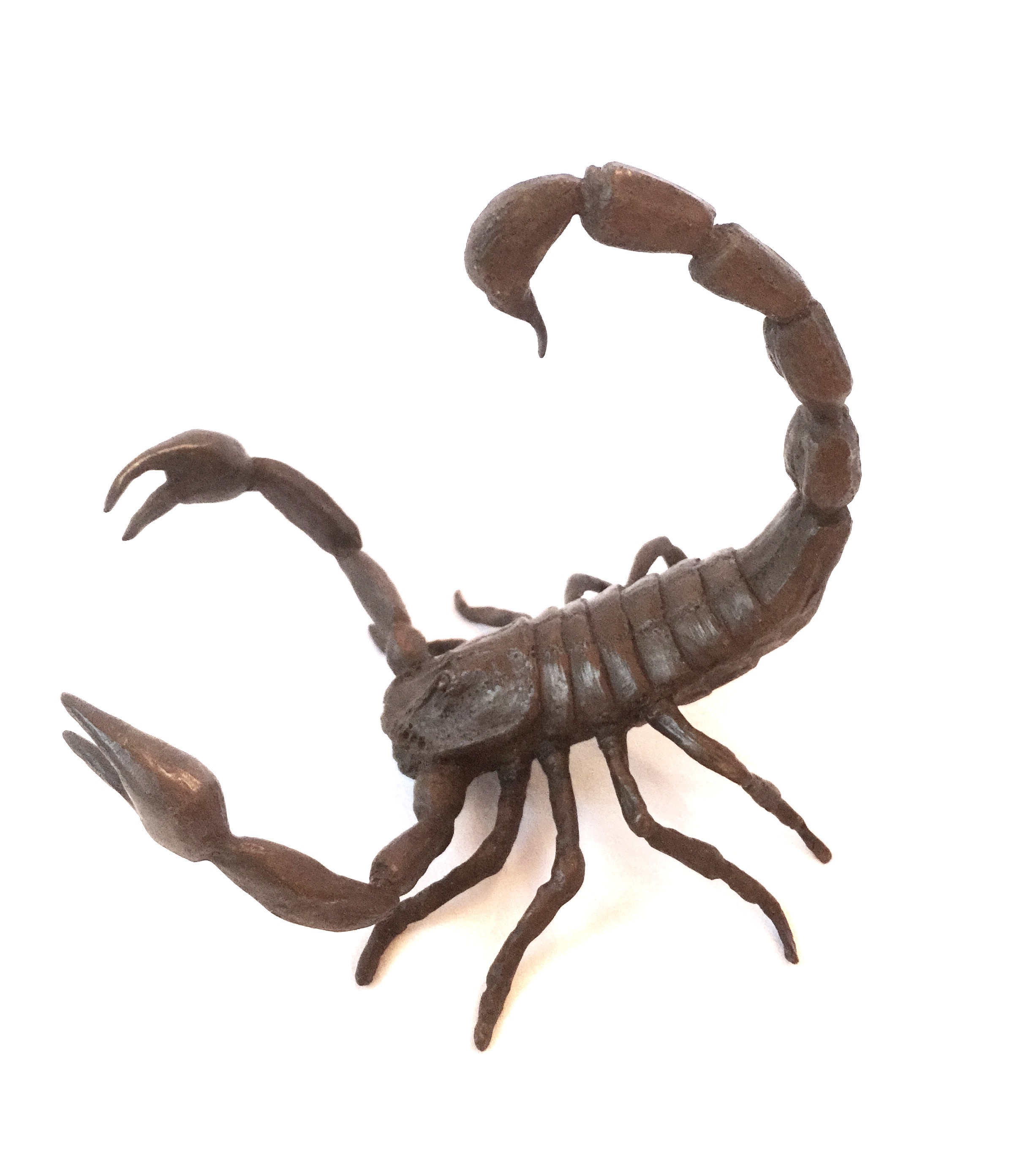 Scorpion 1.jpg