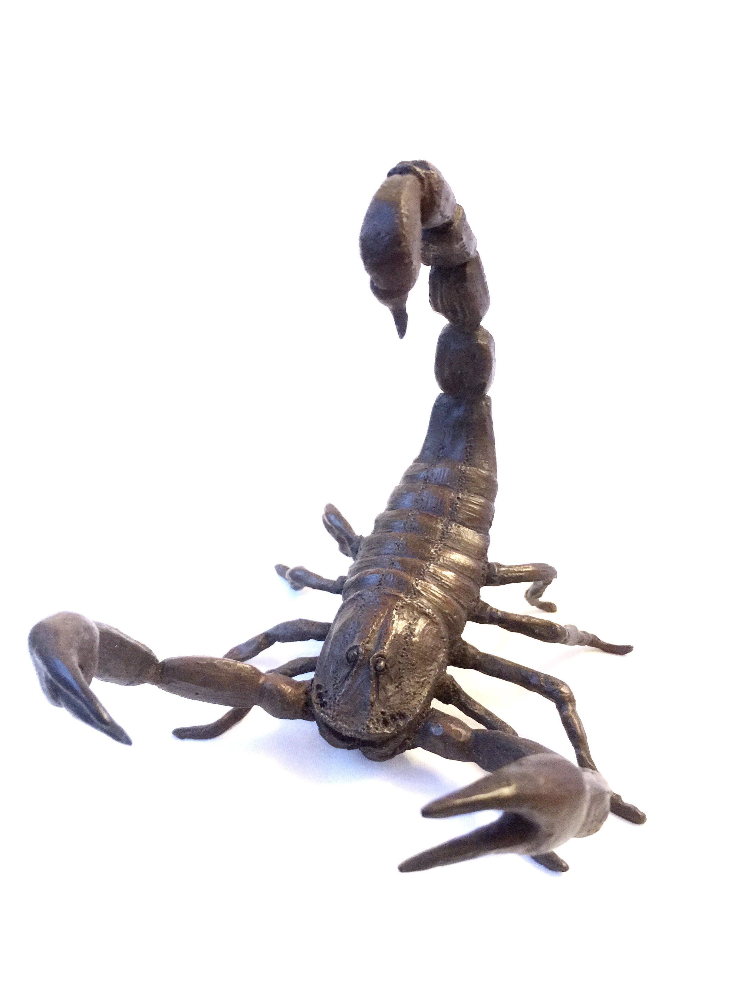 Scorpion 2.jpg