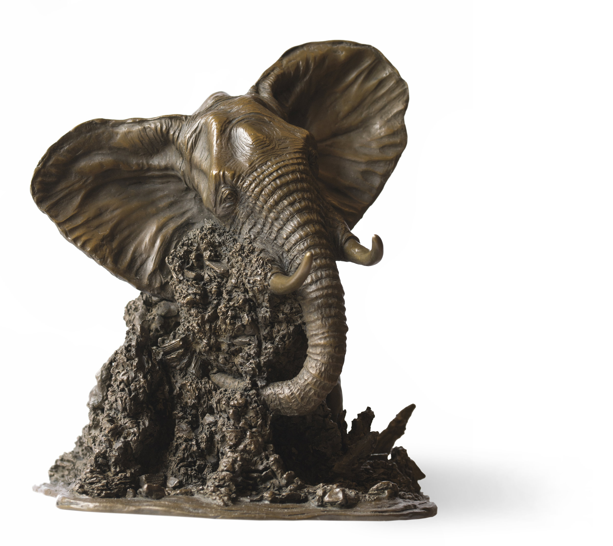 Bull Elephant Study Rosamond Lloyd Sculpture