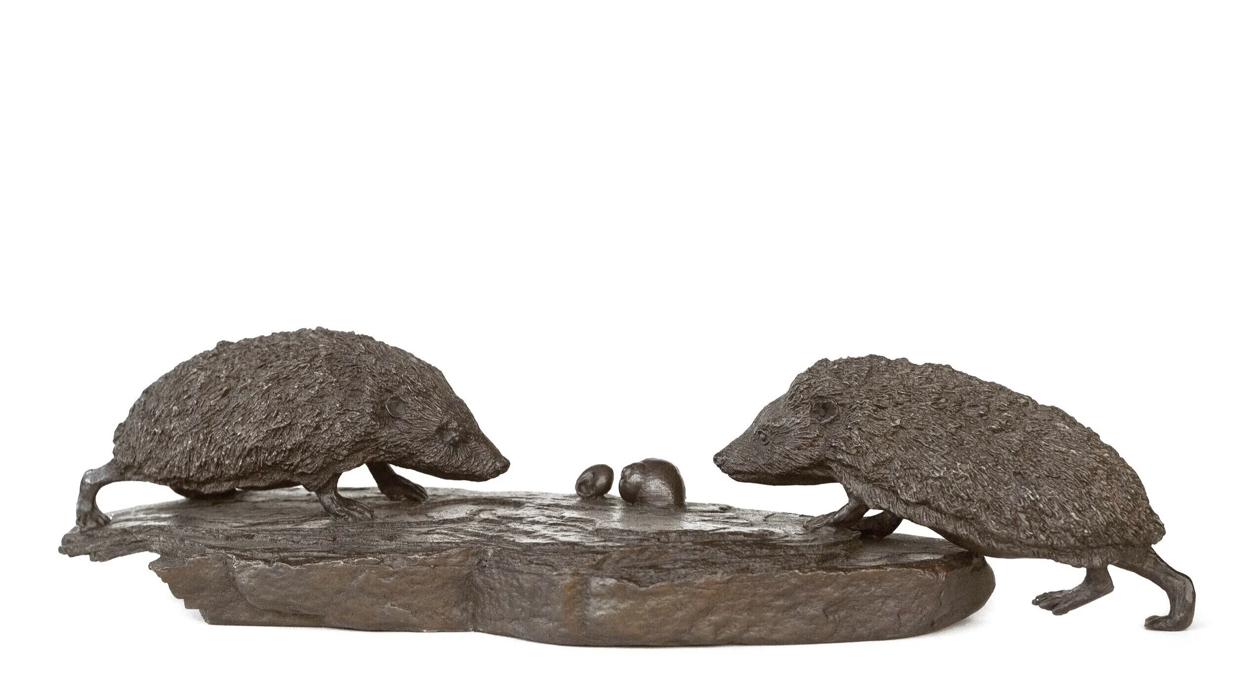 Hedgehogs%252Bwhite-effects-1.jpg