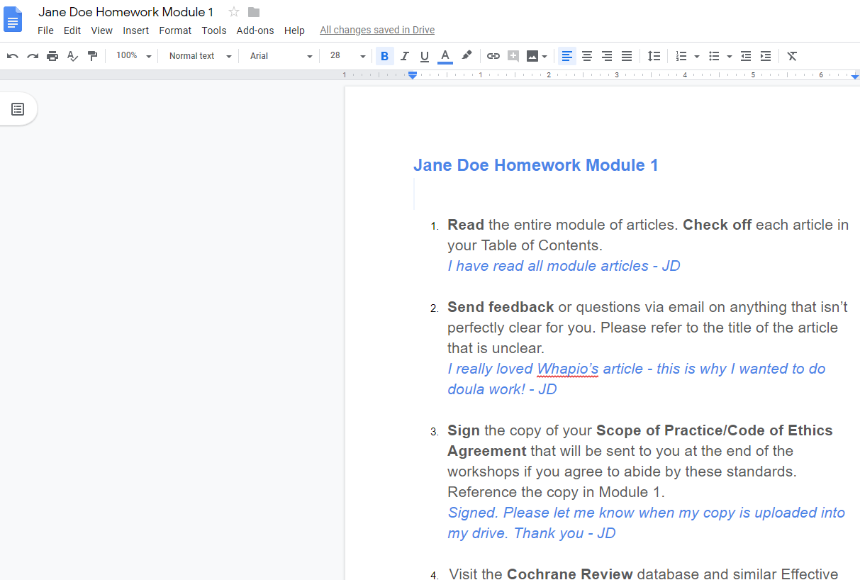 Google doc Homework Module 1 example.png
