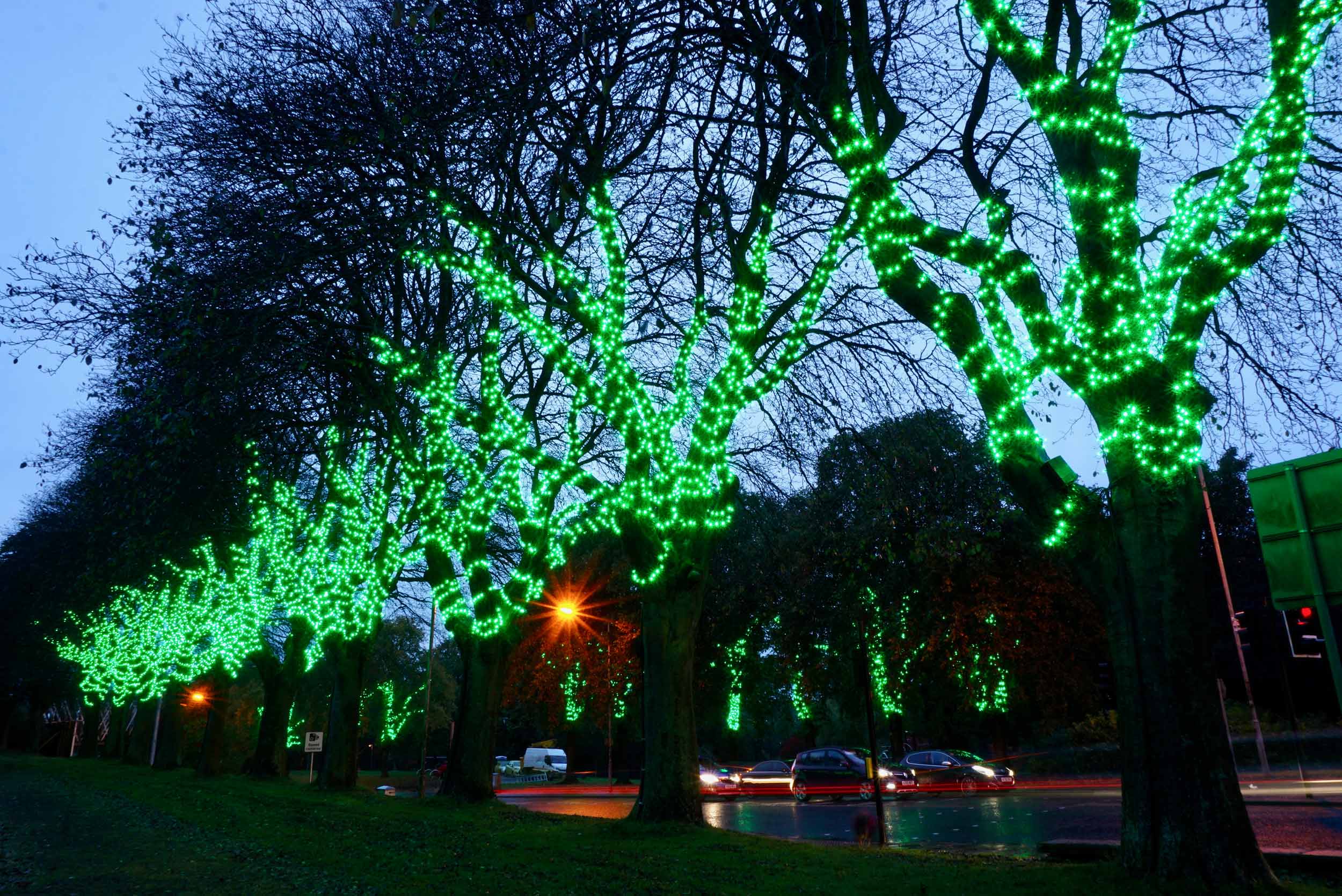 Bigg_Design_x_LL_and_D-Airdrie_Tree_Lights-3.jpg