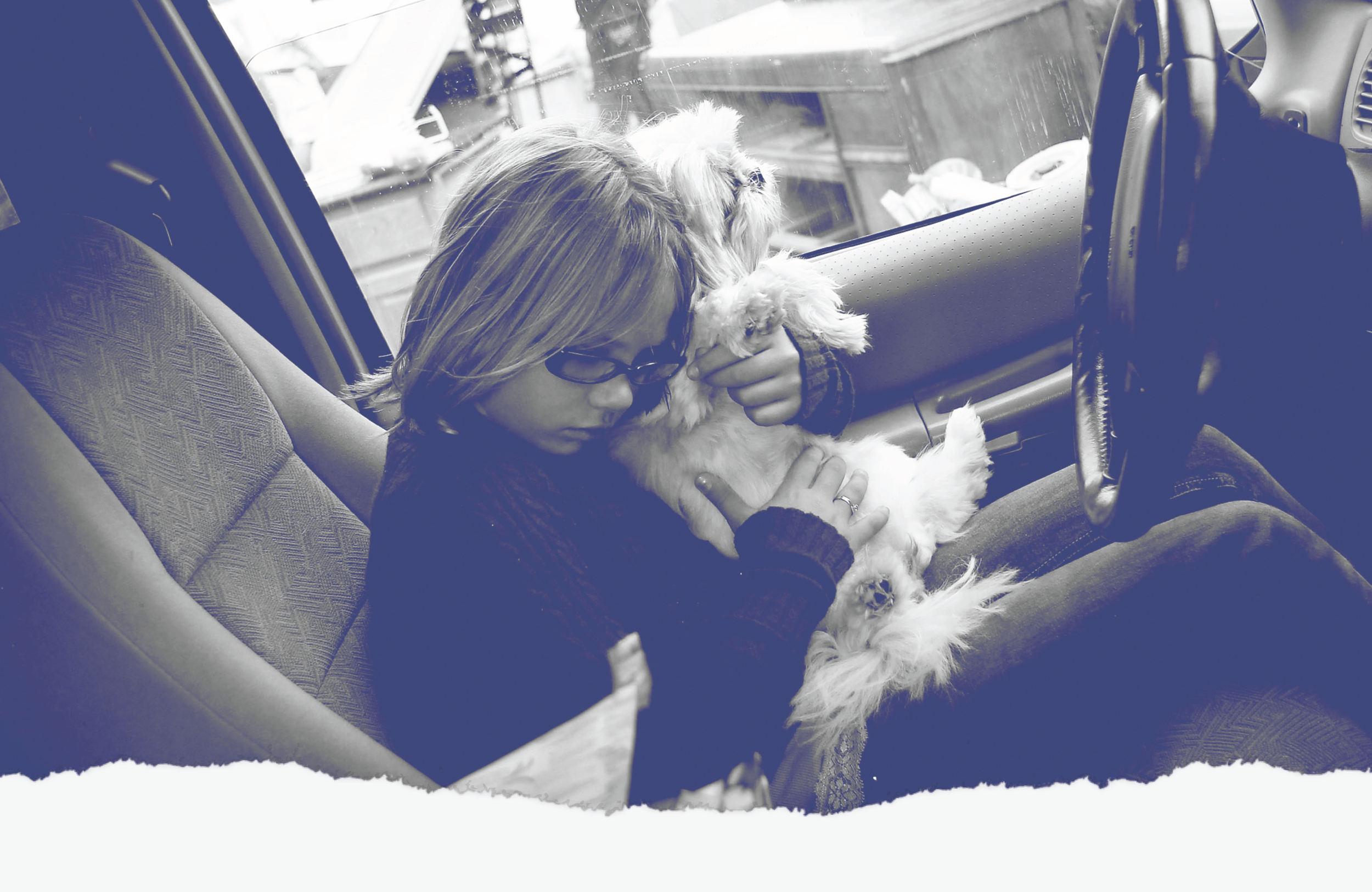 EvictionLabSocial_Evergreen2_Social 3 copy.png