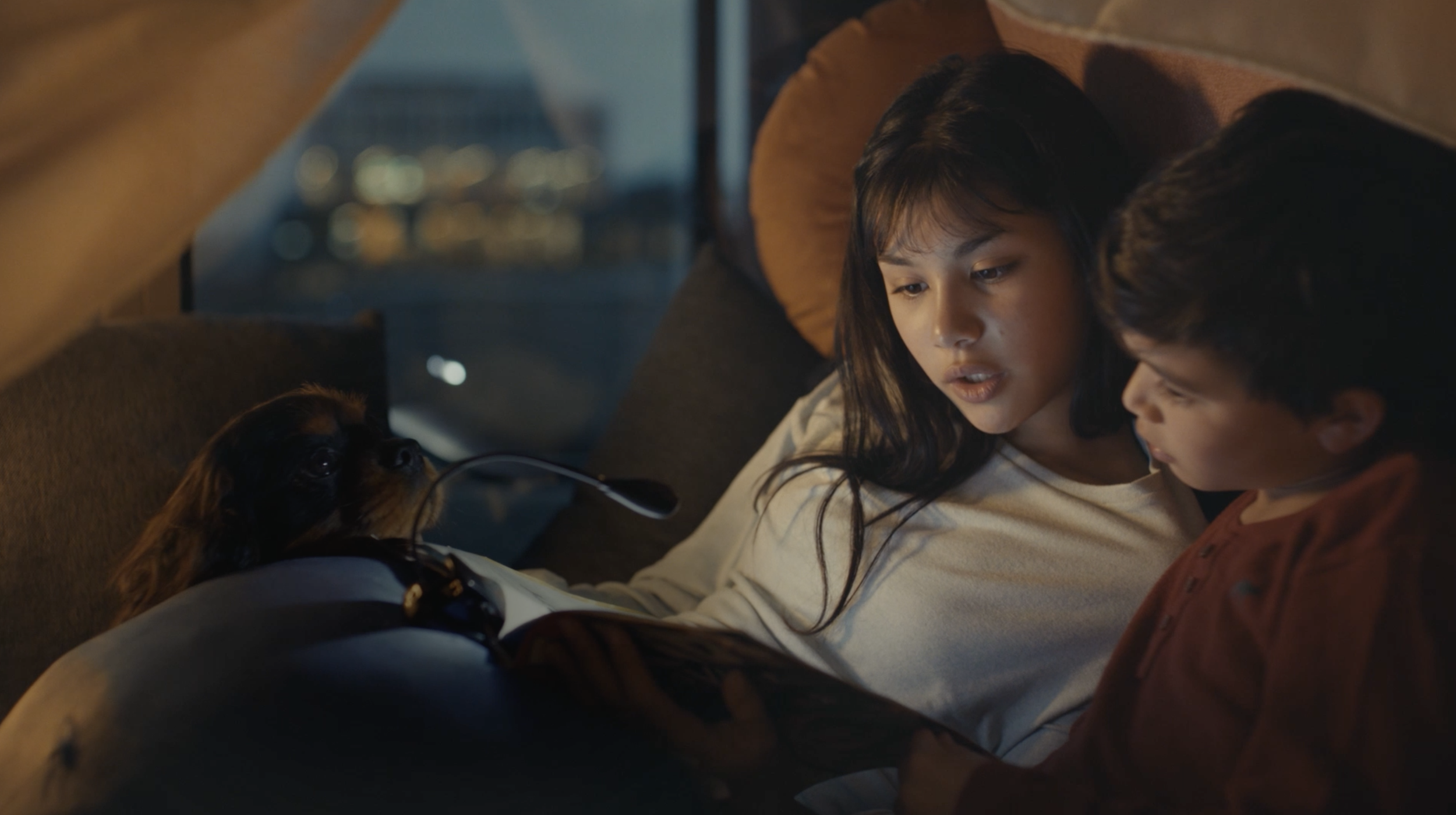 Screen Shot 2023-09-05 at 3.47.41 PM.png