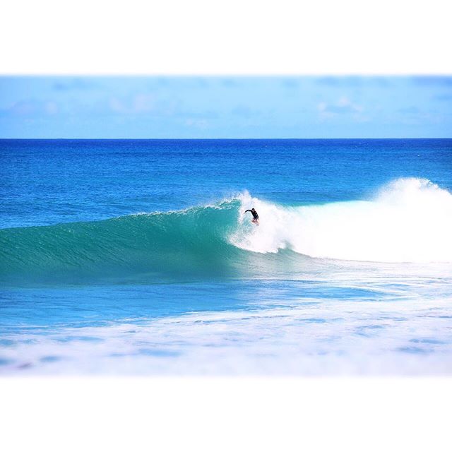 The North Shore Ain&rsquo;t Bad ||
