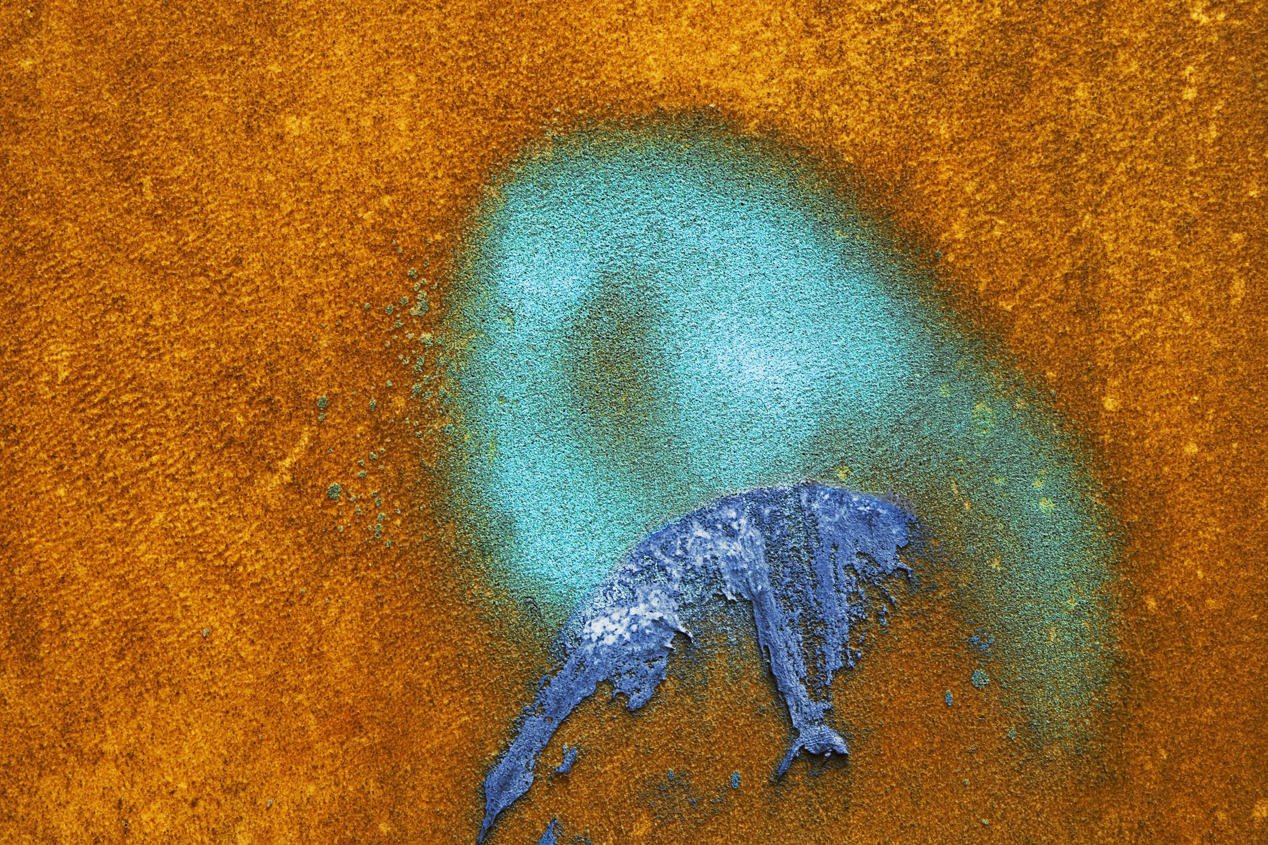 Csuk-06122011-6114.jpg