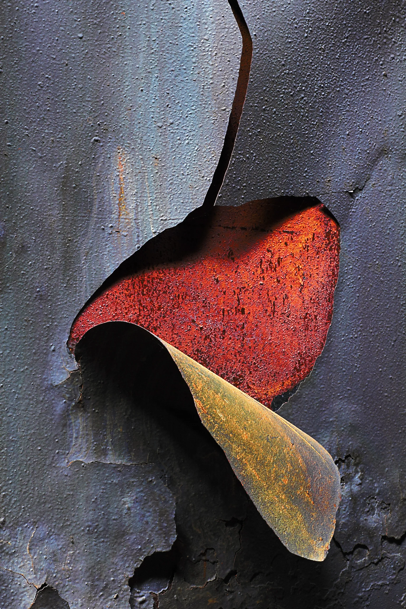 Csuk-05292011-5025.jpg