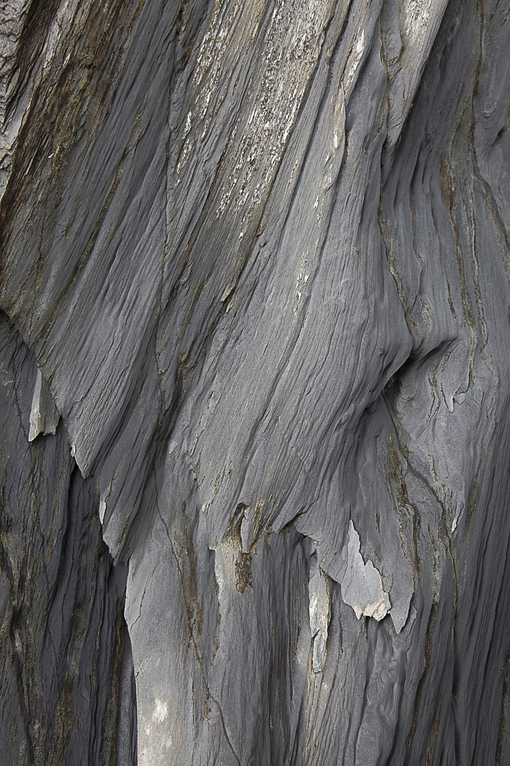 Csuk-06142010-9096.jpg