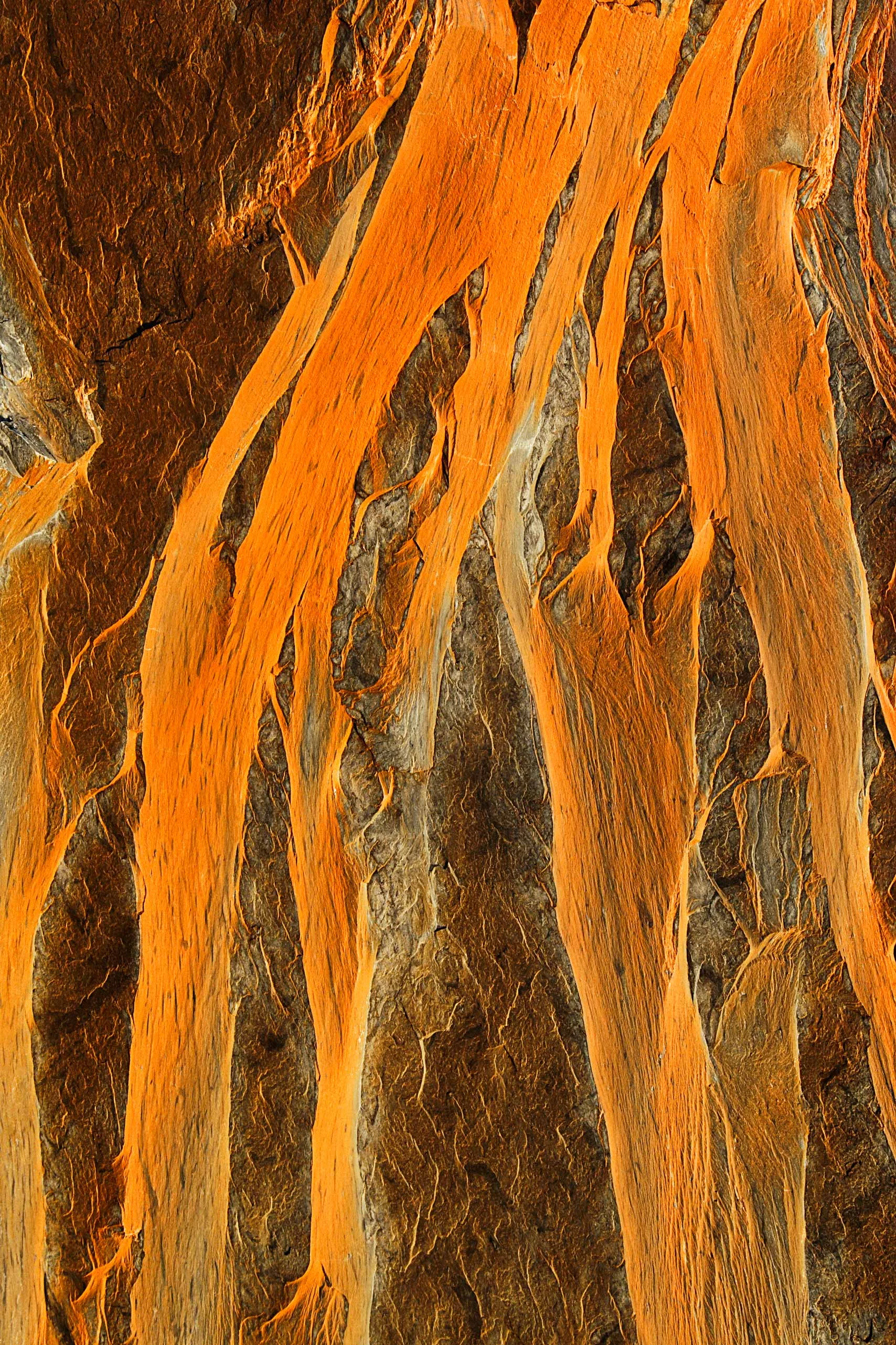 Csuk-06152012-3690.jpg