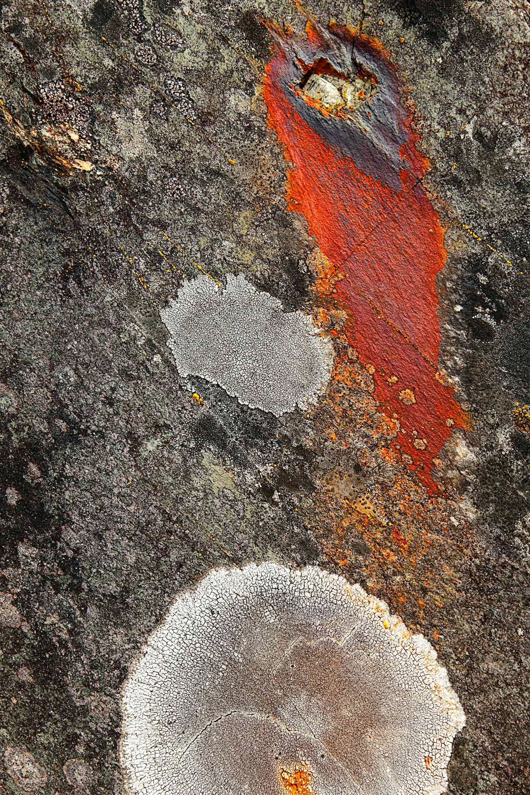 Csuk-07282012-0318.jpg