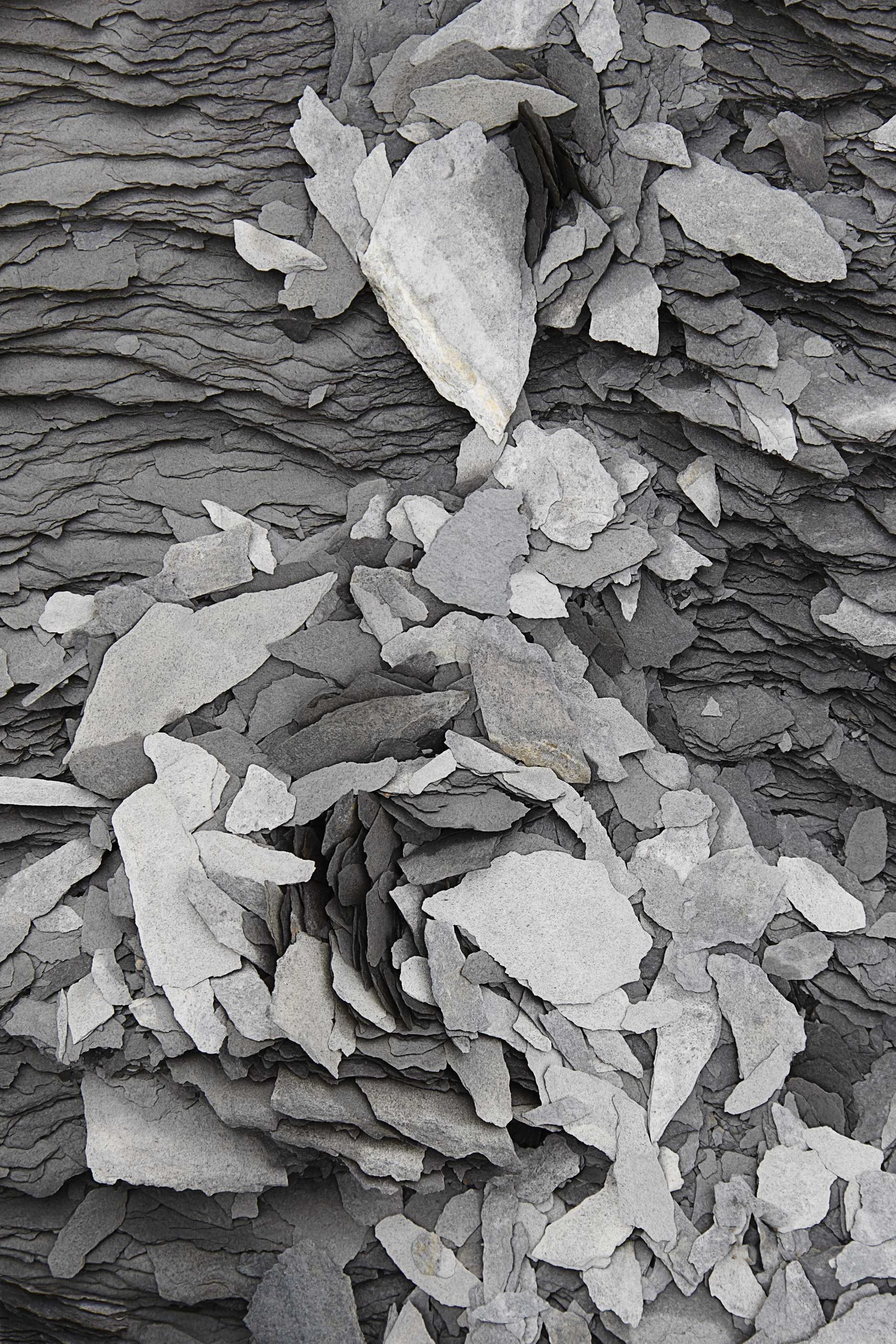Csuk-08242010-8771.jpg