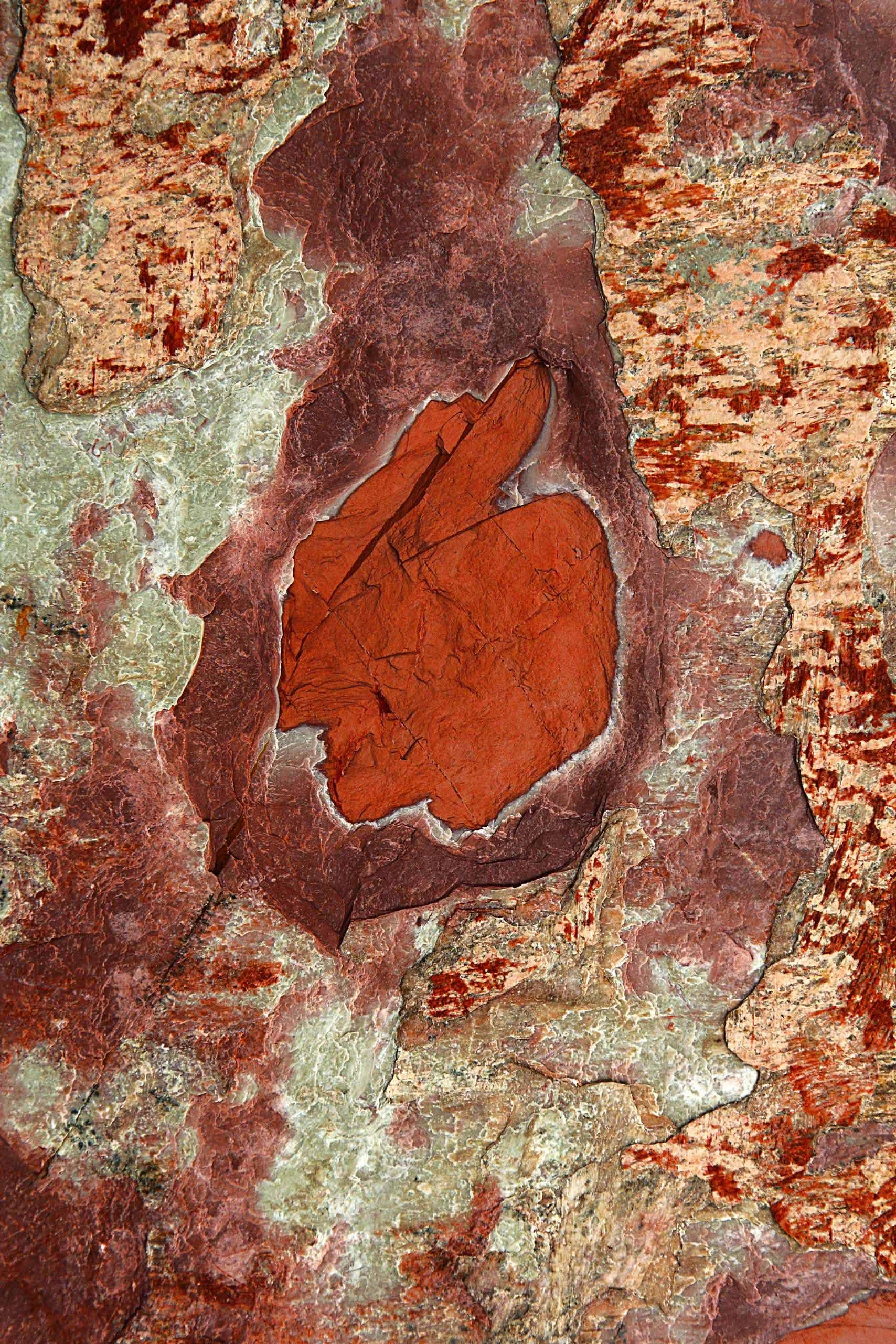 Csuk-09102012-1836.jpg