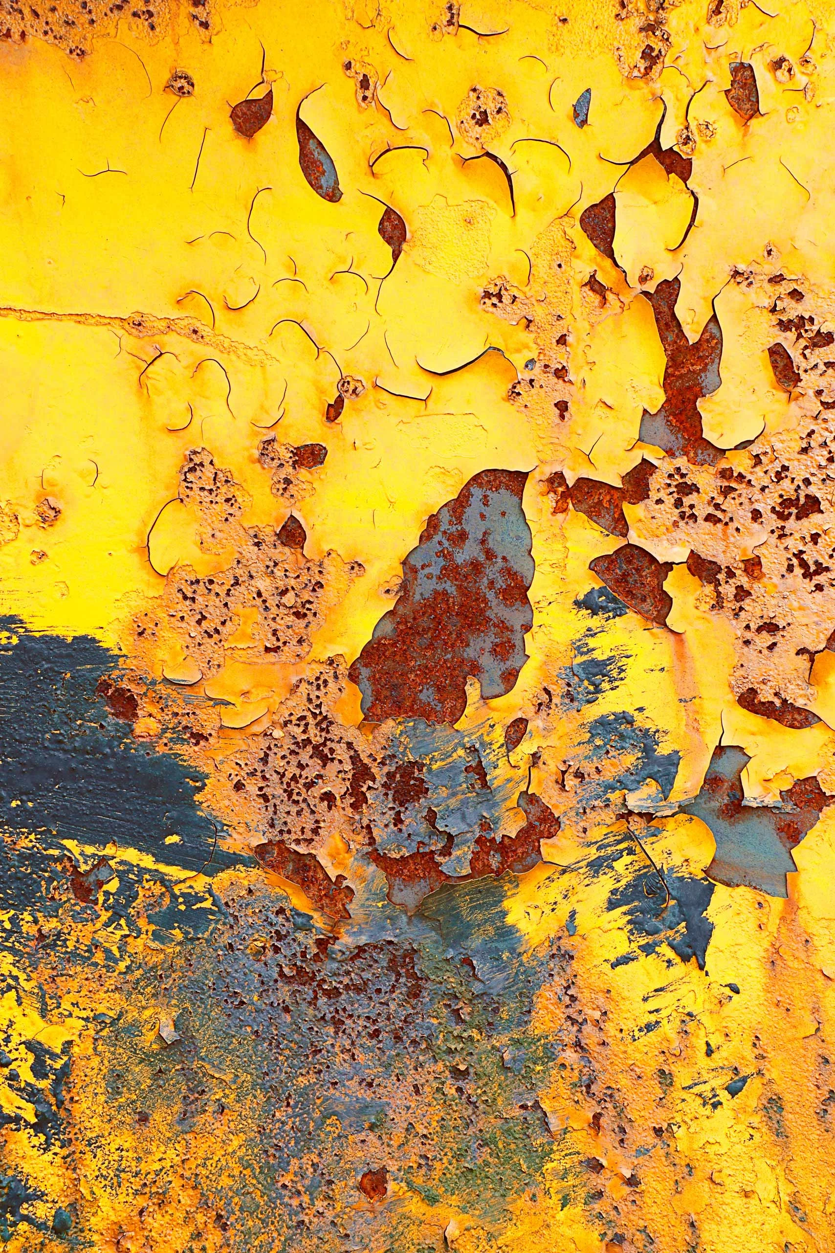 Csuk-04062013-1932.jpg