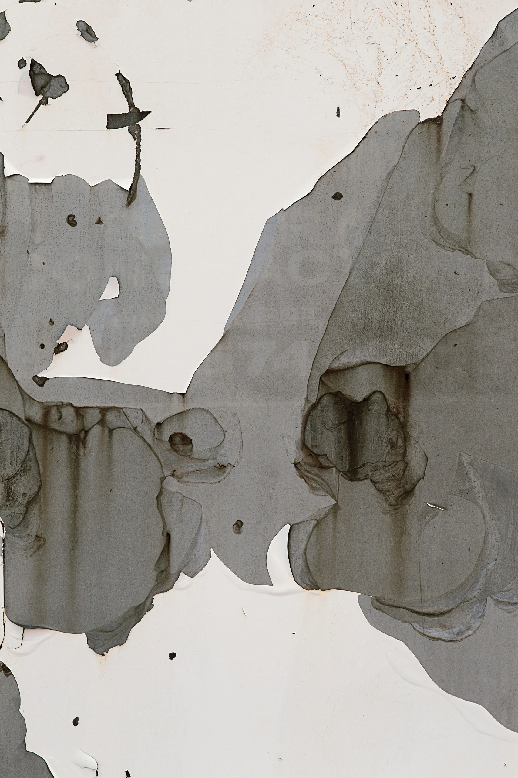 Csuk-05022015-7964.jpg