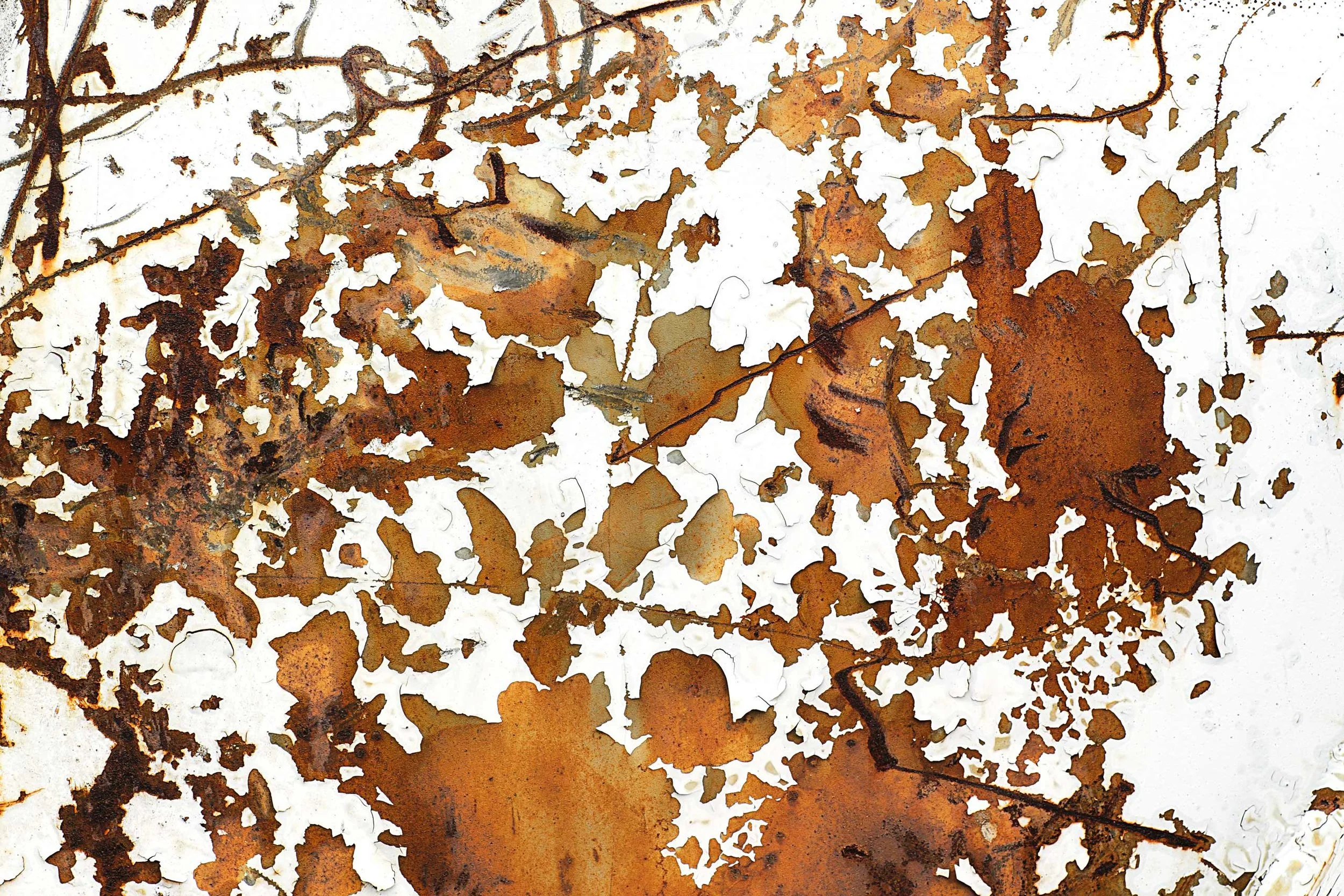 Csuk-06242011-7488.jpg