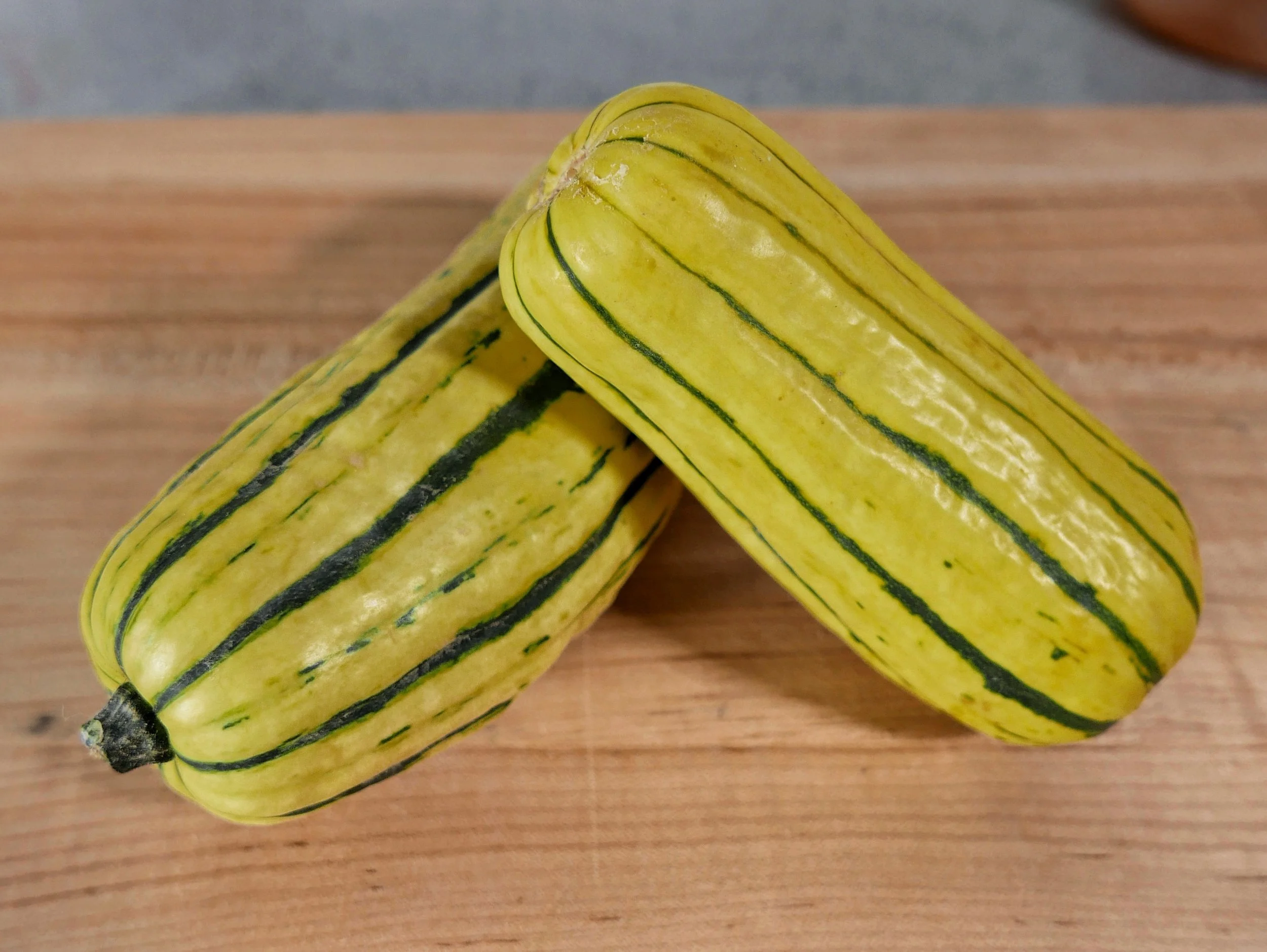 squash.jpg