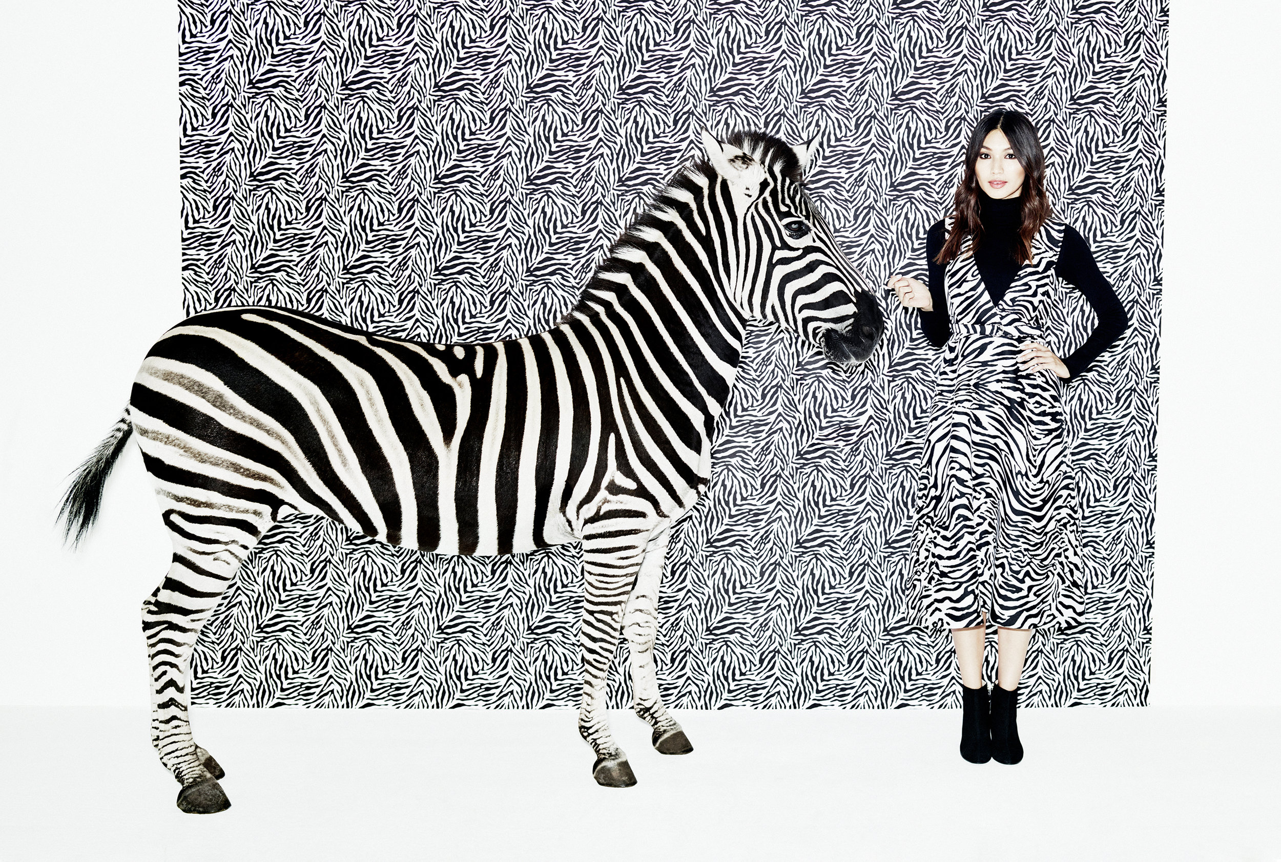 Zebra-0202_1_without_lead_2.jpg