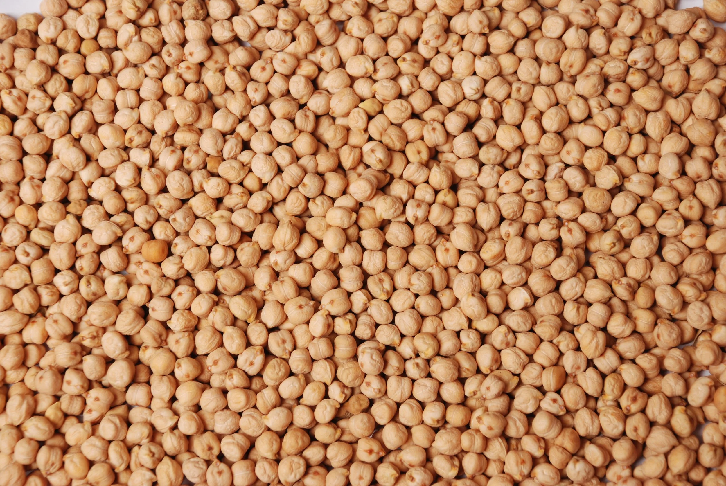 Chickpeas (Kabuli)