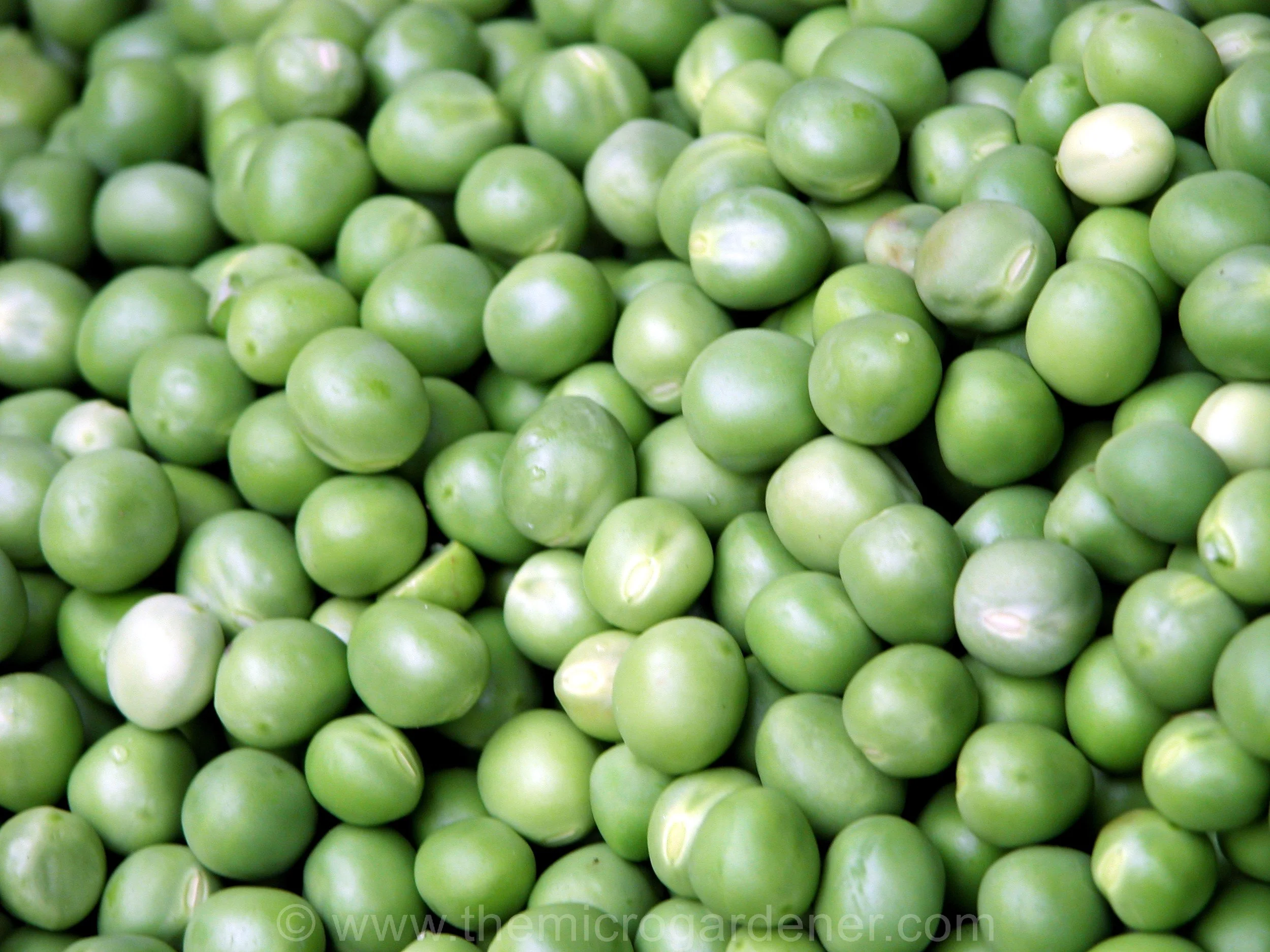 Whole Green Peas