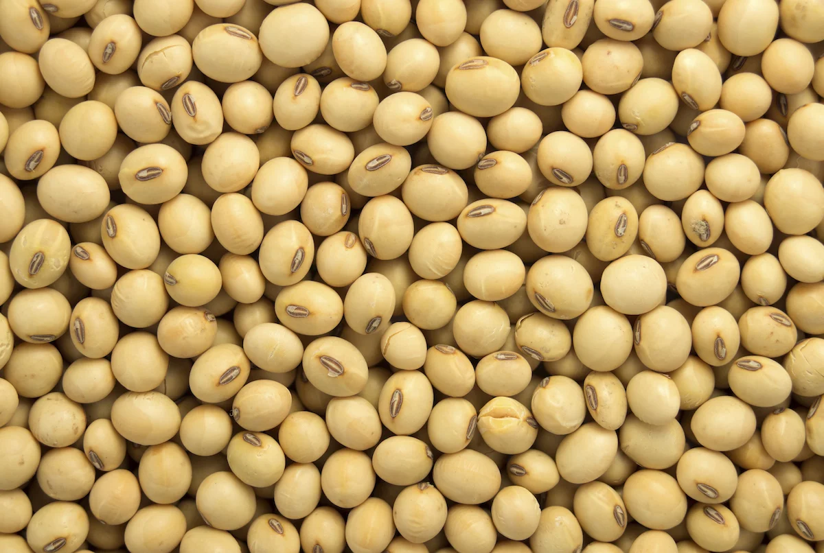 Soybeans