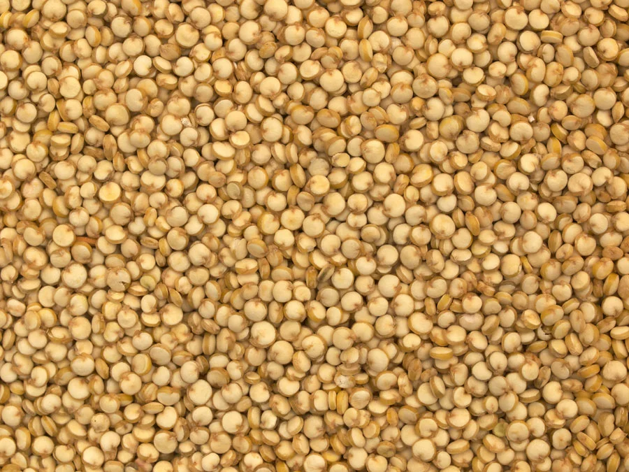Quinoa