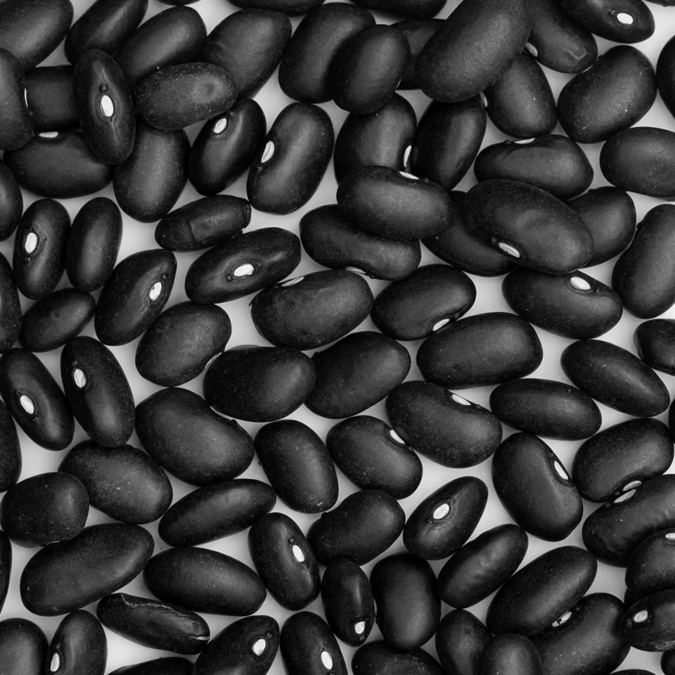 Black Beans
