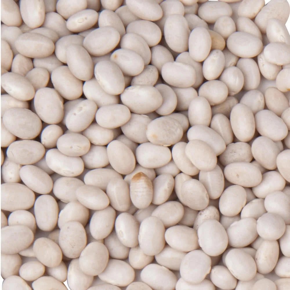 Navy Beans