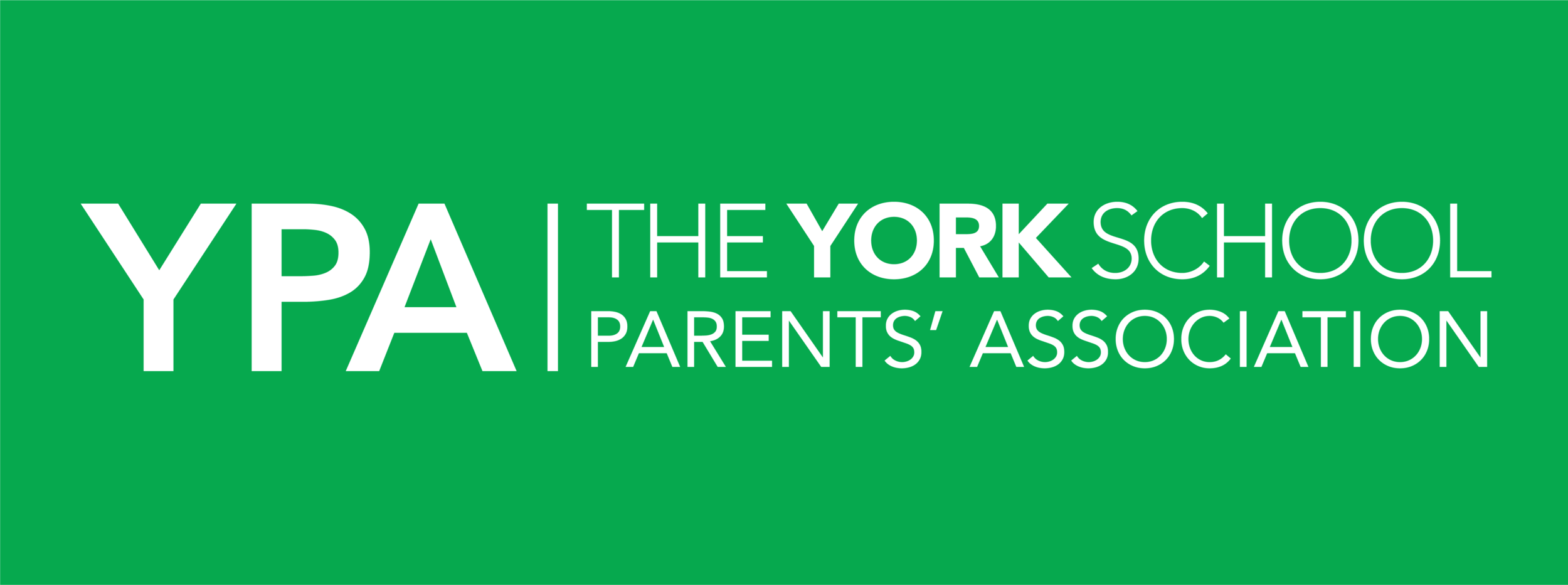 YPA Logo.png