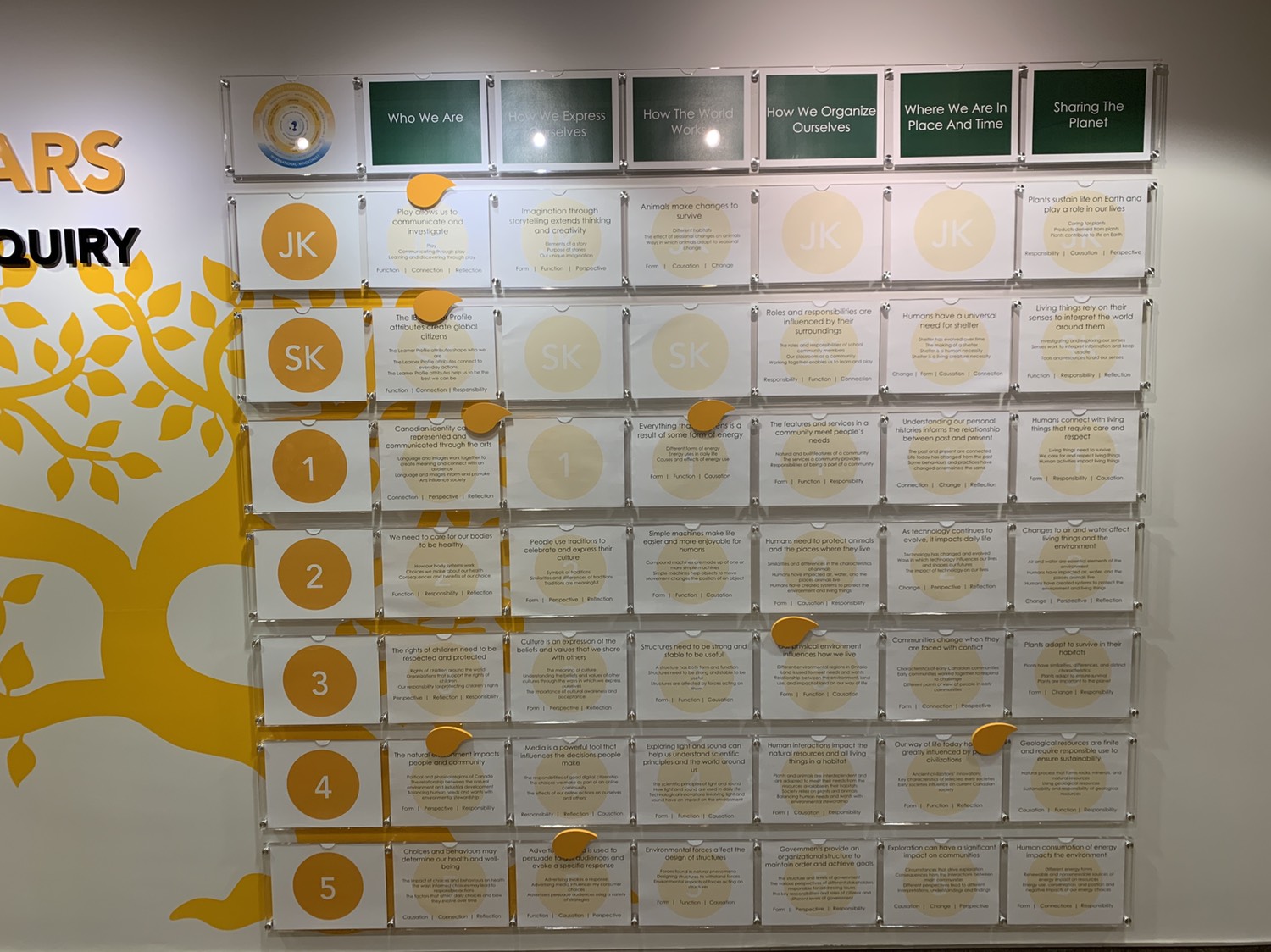 Our new Primary Years Programme of Inquiry Wall