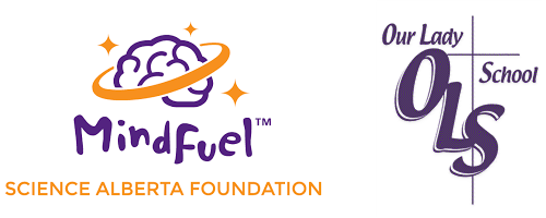 mindfuelOLS.png