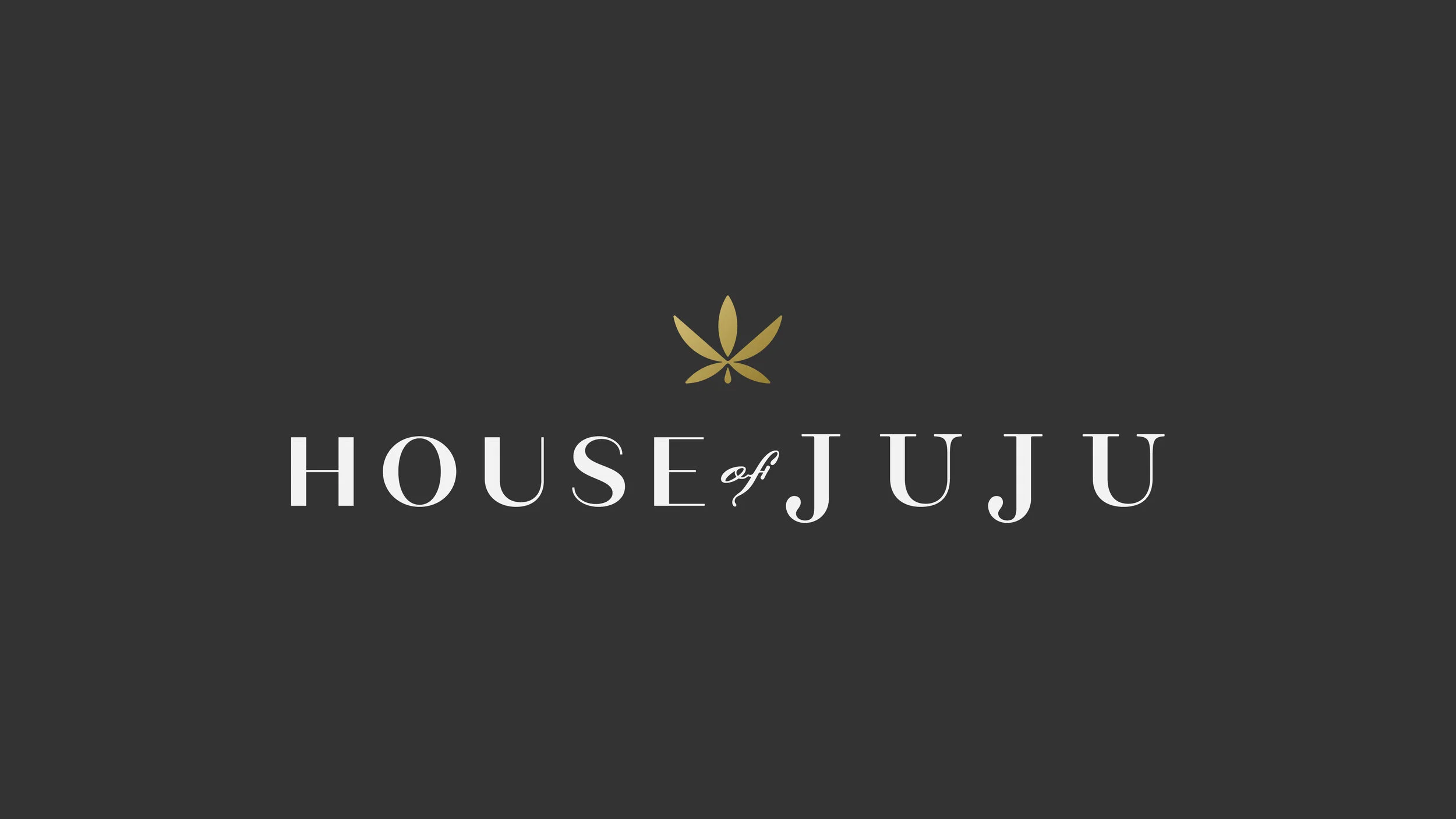 MS_HoJJ_Dir2_Logo2.jpg