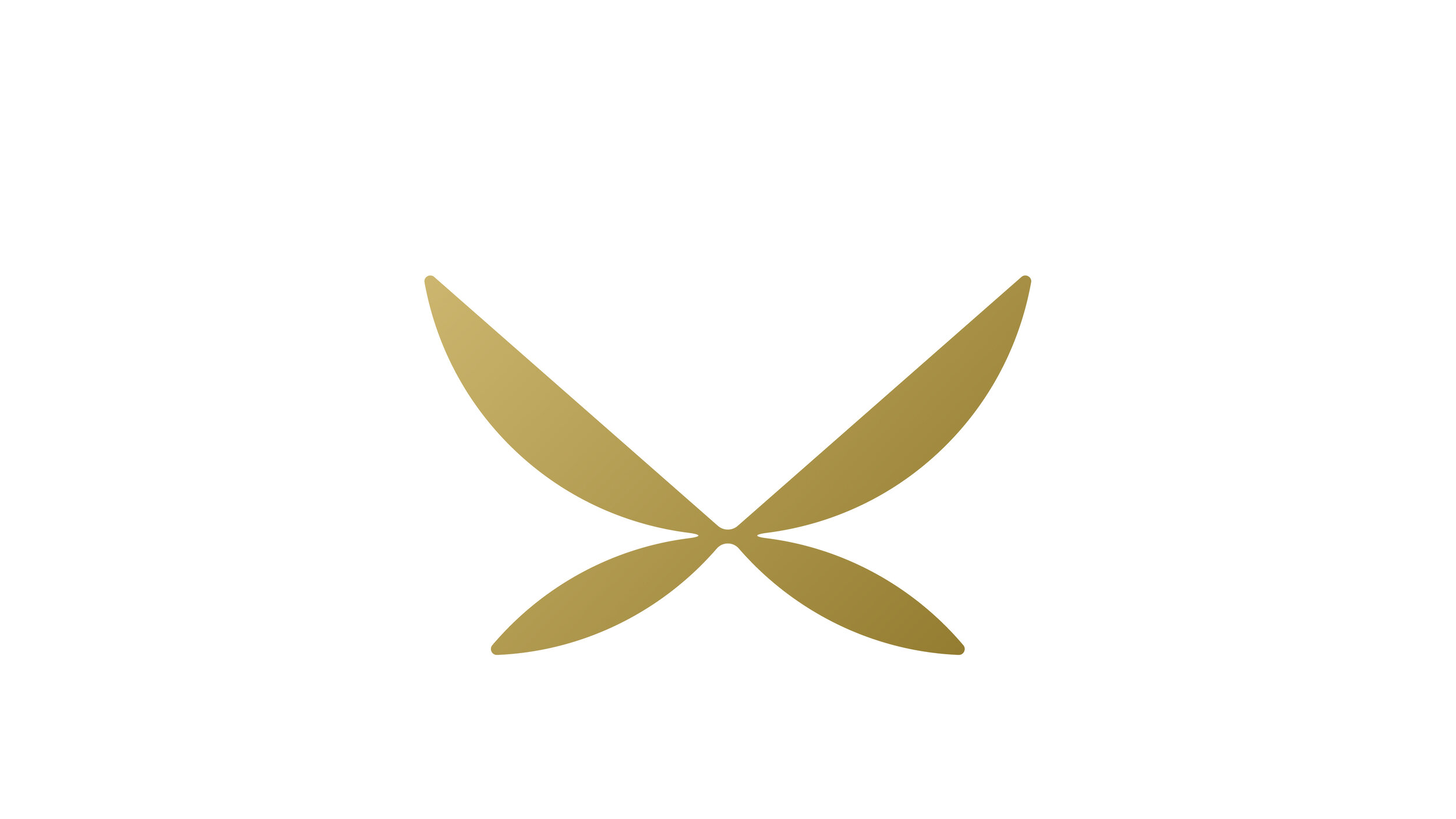 MS_HoJJ_Dir2_ButterflyLogo1.jpg