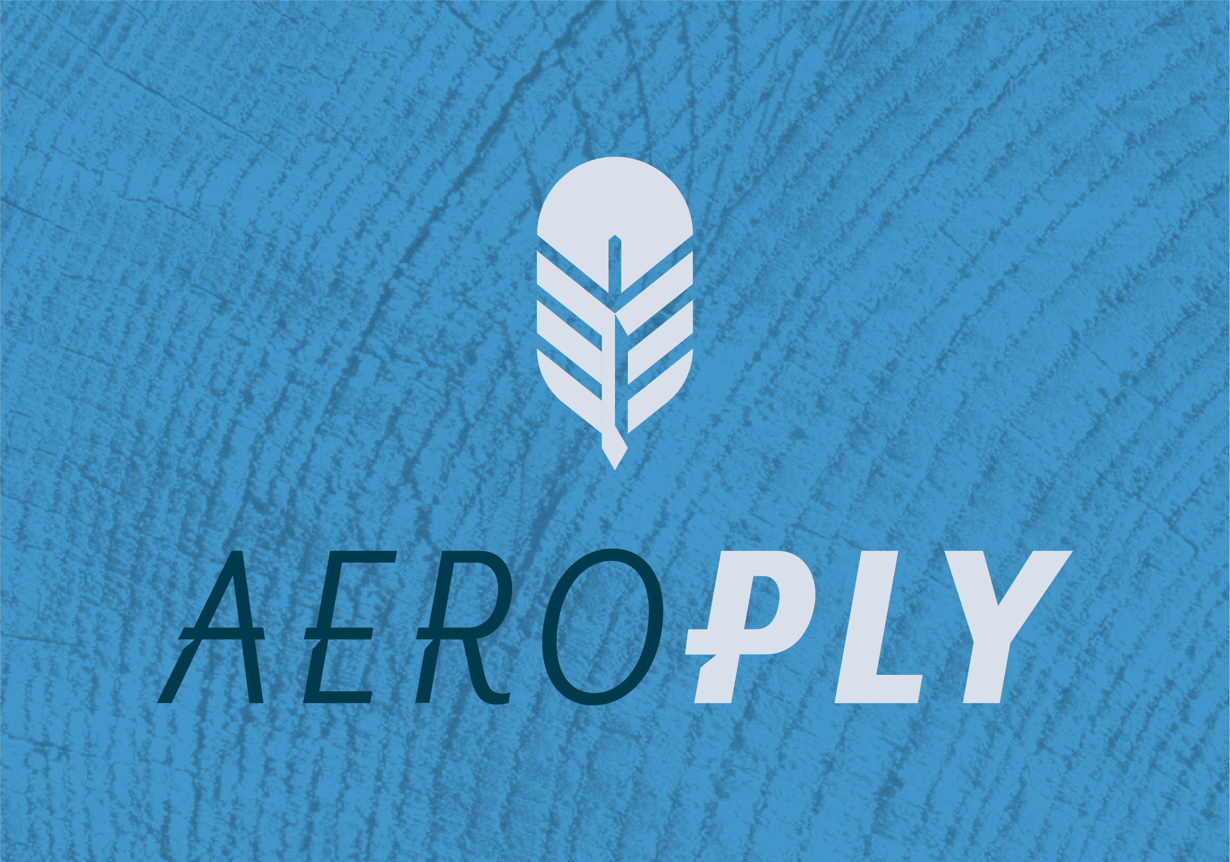 AeroPly_Lockup_Stacked_OnBlue.png