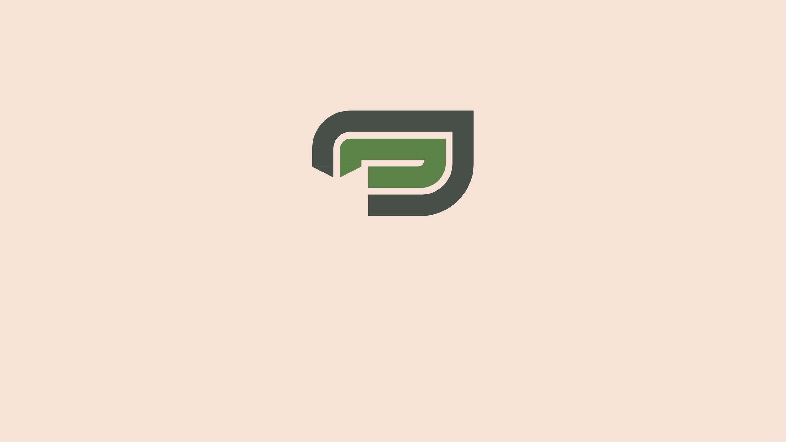 06_Pioneer_D1_Logo_Animation5.jpg